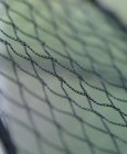 Garden Netting